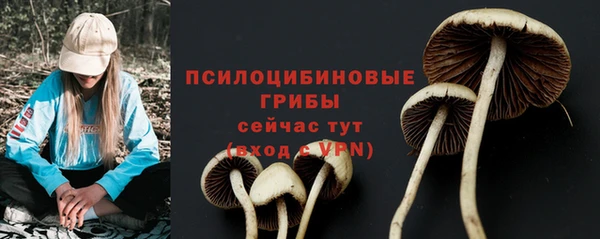 дживик Покровск