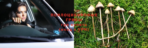дживик Покровск
